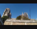 The Notre-Dame Cathedral Under Restoration