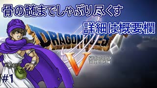 【DQ5・やりこみ・プレイ動画】#1　ドラゴンクエスト5　PS2版　ドロップ・仲間モンスター・名産品