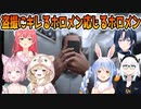 8番のりばで盗撮するおじに対するホロメンの反応【兎田ぺこら_尾丸ポルカ_火威青_白上フブキ_博衣こより_さくらみこ_ホロライブ切り抜き】