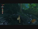 【ゼルダの伝説 BotW】#101 バカンスのつもりでサイハテノ島に突入！