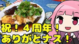 【ありがとナス！のさっぱり和風おろしソース】「茜ちゃんが美味いと思うまで」R〒A 22:58 WR