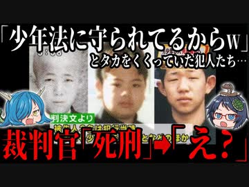 少年法に守られているから！と犯行を繰り返す少年達に起きた末路 【ゆっくり解説】