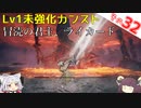 【ELDEN RING】Lv1未強化の旅 Part32 カンスト冒涜の君主、ライカード 解説付き