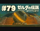 【ぽつぽつ実況 #79】スナザラシラリー【ゼルダの伝説BoW】
