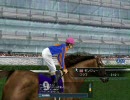 フリーレース動画