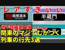 【地下鉄第二弾】地下鉄のまじでめったに見ることができないレア行先3選【東京メトロ】【ゆっくり解説】#Shorts