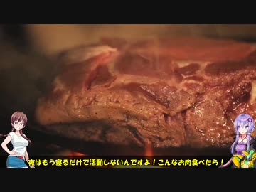 ロジっ子のドラゴンズドグマⅡその5（夜道って危ないね）