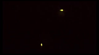 【幻想的な世界】24.6.5ライブ配信中のホタル【ホタルの光】