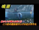 鳴潮　森のもやが晴れる時に⑥　二つ目の類似核サンプルを入手する　光なき森・第一幕　危地任務攻略　＃１９５