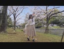 【桜の下で】春に一番近い街 踊ってみた【あきちゃん】