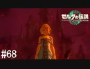 【ゼルダの伝説 Tears of the Kingdom】勇者、城で迷う【実況】#68