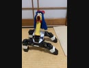 新宝島踊ってみた