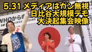 【サイバー攻撃6/8予約投稿分】メディアはガン無視！日比谷大規模デモ 大決起集会映像【WHOから命をまもる国民運動】