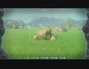 ゼルダの伝説　ティアーズ オブ ザ キングダム　実況プレイPart30