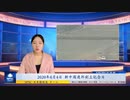 2020年6月4日 新中国連邦創立記念日