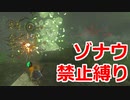 ゾナウ禁止縛りpart32【ティアキン/制限プレイ/ゼルダの伝説ティアーズオブザキングダム】