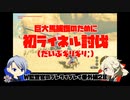 【刀剣乱舞偽実況】W監査官のブレワイプレイ　番外28