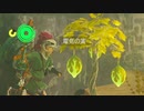 【ティアキンだけは】part.151【実況させて】