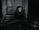 Dead Or Alive - Something in My House
