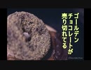 【初音ミク】ゴールデンチョコレートが売り切れてる【オリジナル曲】