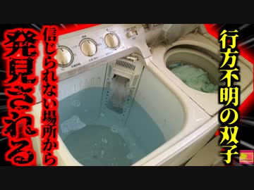 【2017年】「ちょっと買い物に行ってくるわね」消えた双子児童 捜索の末、『まさかの場所』で変わり果てた姿となって発見される たった5分の間に何があった？【ゆっくり解説】