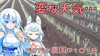 2024年6月6日　農作業日誌P1018　ジャガイモの葉茎処理をしつつ、なんともじめっとしてばてた・・・