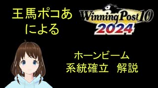 Winning Post 10 2024　ホーンビーム　系統確立解説