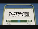 アキタアラヤの双皿