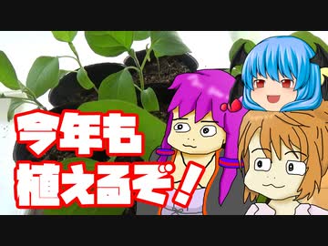 【なす】ぼくも料理動画が作りたかった 今年もなんか植えたかった編