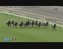 2024 ミリオンローズ　新馬戦　カウントダウンタイムコードつき