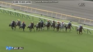 2024 ミリオンローズ　新馬戦　カウントダウンタイムコードつき