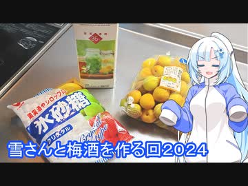 【雪さんとお酒と料理と】雪さんと梅酒を漬ける回2024