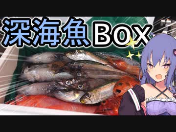 深海魚Boxが届いたので開封してみた！「前編」