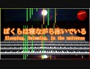 Official Music Video: youhei_red - ぼくらは寝ながら泳いでいる Sleeping, Swimming, in the universe