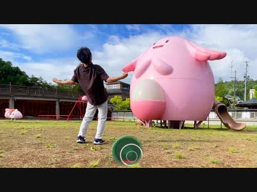 ラッキーを殴るカイリキーのモノマネ