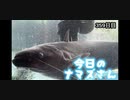 赤ちゃんなまず飼育日記 359日目