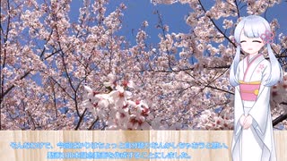 【雑談？】動画投稿100本行ったので自分語り【つくよみちゃん】
