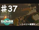 【初見実況】 第三七話　シロツメ新聞社　【 ゼルダの伝説 ティアーズオブザキングダム 】