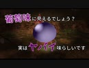 【ピクミン２】後輩の責任を負う男【実況】 Part8