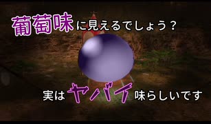 【ピクミン２】後輩の責任を負う男【実況】 Part8