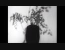 David Sylvian - Red Guitar