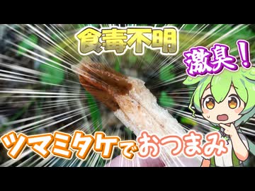 激臭キノコ！？　ツマミタケでおつまみを作るずんだもん