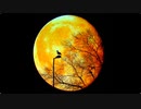 わかります、あなたはユウユウ姫で「Yellow Moon」です☆