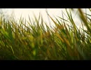 test(ppv-public)