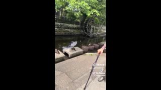 ココロ笑える 【ココロオドル】