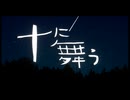 【ニコニコメドレー】十に舞う