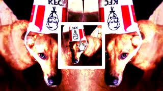 犬リンダンス
