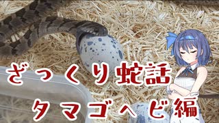 ざっくり蛇話　タマゴヘビ編