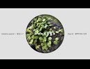 kalama pona! - 足立レイ