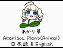 【Rimworld MOD配布】愛犬植物『あかり草（動物）』